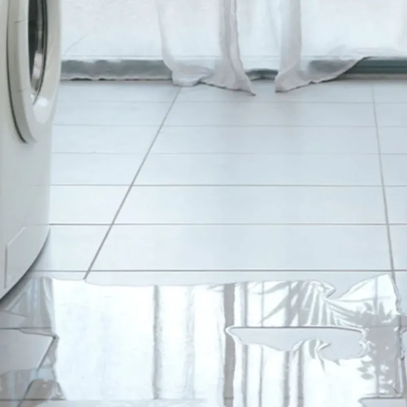 Appliance Leak Cleanup in Granville, IL