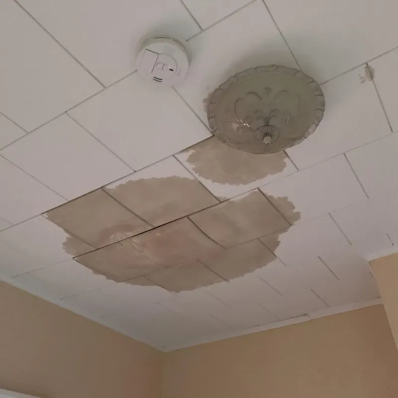 Ceiling Water Damage Repair in Granville, IL