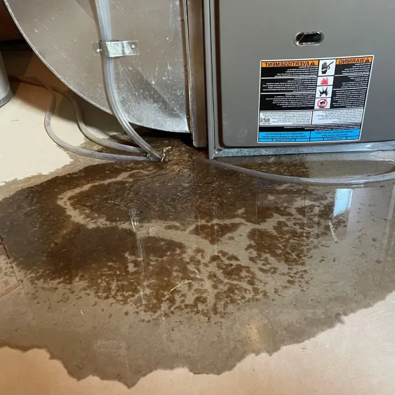 Pipe Burst and Leak Restoration in Granville, IL