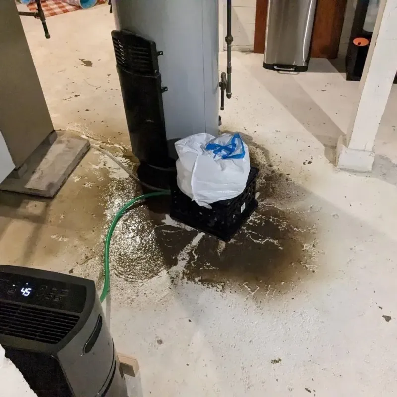 Sewage Backup Cleanup Service in Granville, IL